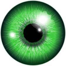 100+ Free Green Eyes & Eye Vectors - Pixabay