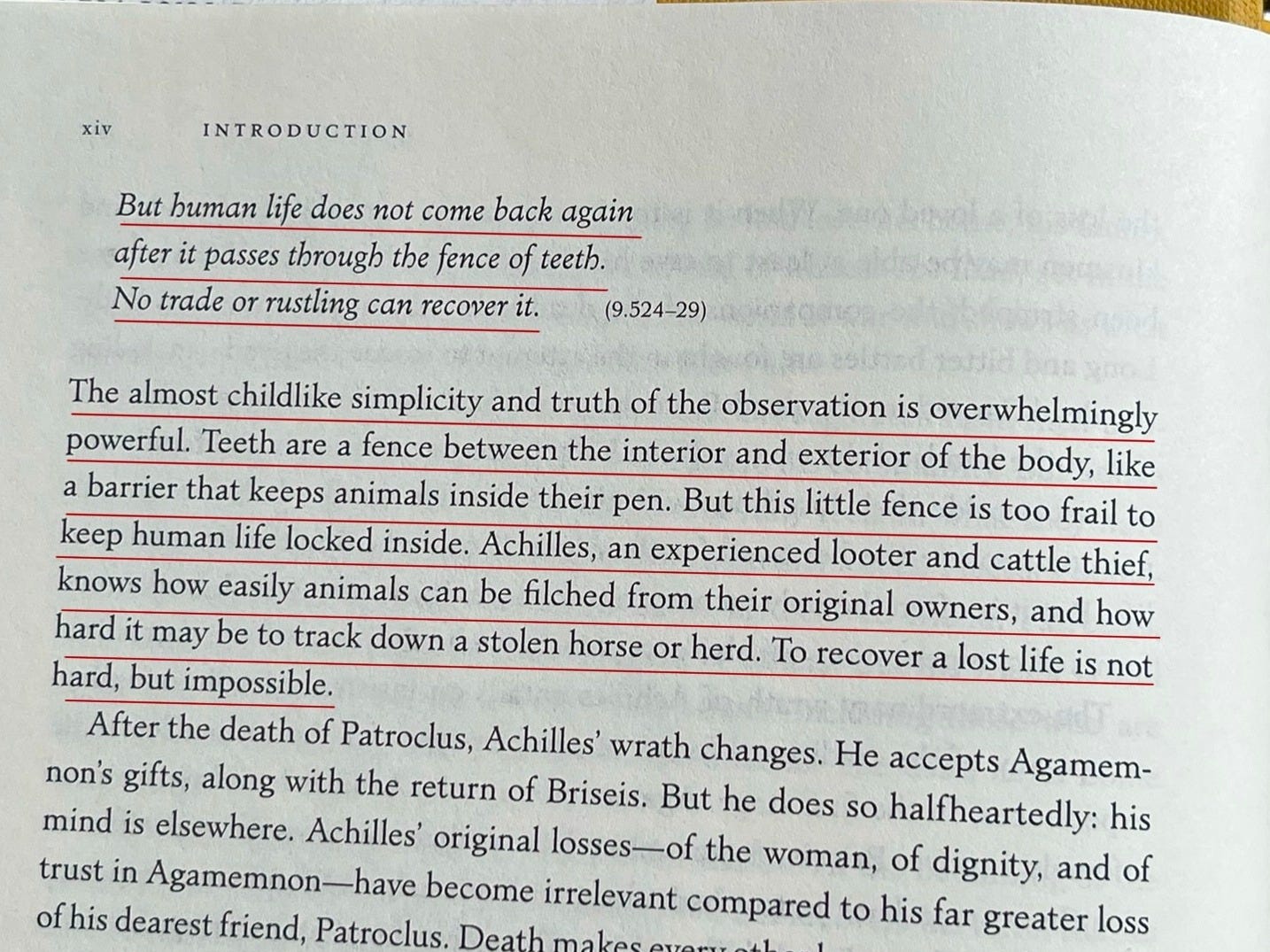 But human life does not come back again/ after it passes through the fence of teeth./ No trade or rustling can recover it.(9.524-29) The almost childlike simplicity and truth of the observation is overwhelmingly powerful. Teeth are a fence between the interior and exterior of the body, like a barrier that keeps animals inside their pen. But this little fence is too frail to keep human life locked inside. Achilles, an experienced looter and cattle thief, knows how easily animals can be filched from their original owners, and how hard it may be to track down a stolen horse or herd. To recover a lost life is not hard, but impossible.