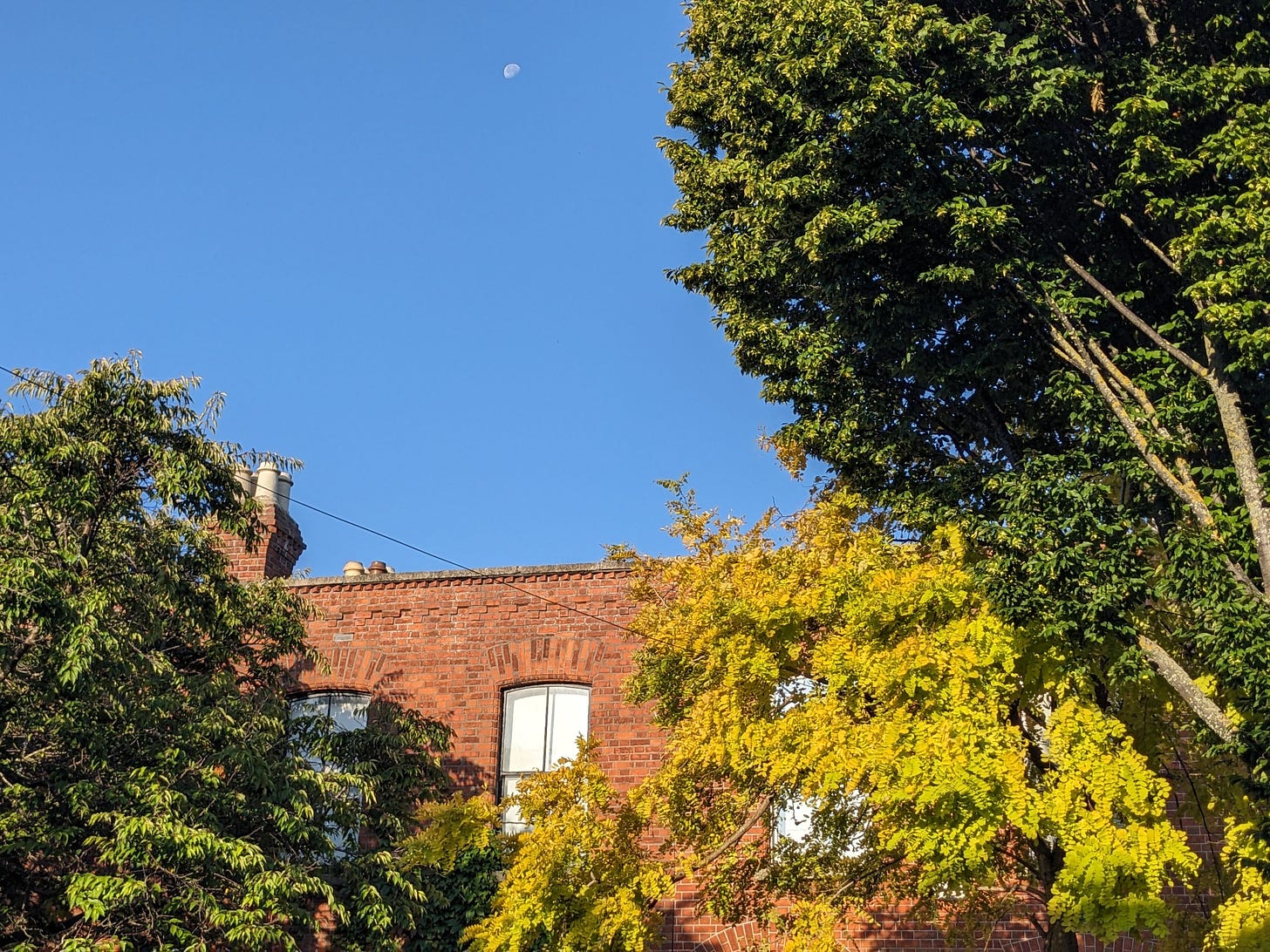 blue sky and partial moon over a red brick house and bright green and yellow treetops