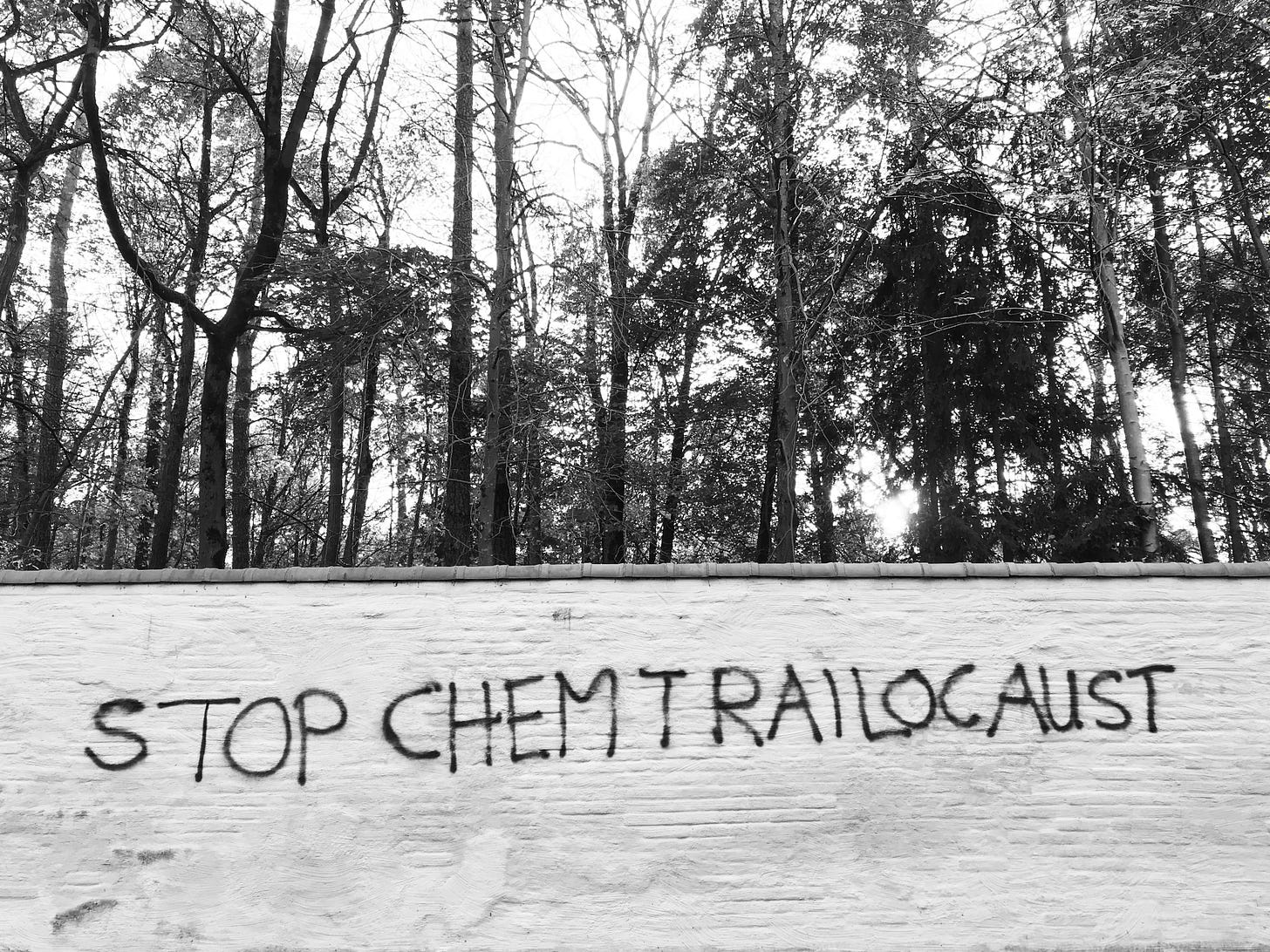 A black and white photo of a wall on which it is spraypainted 'Stop Chemtrailocaust'. The wall is in front of a forest.