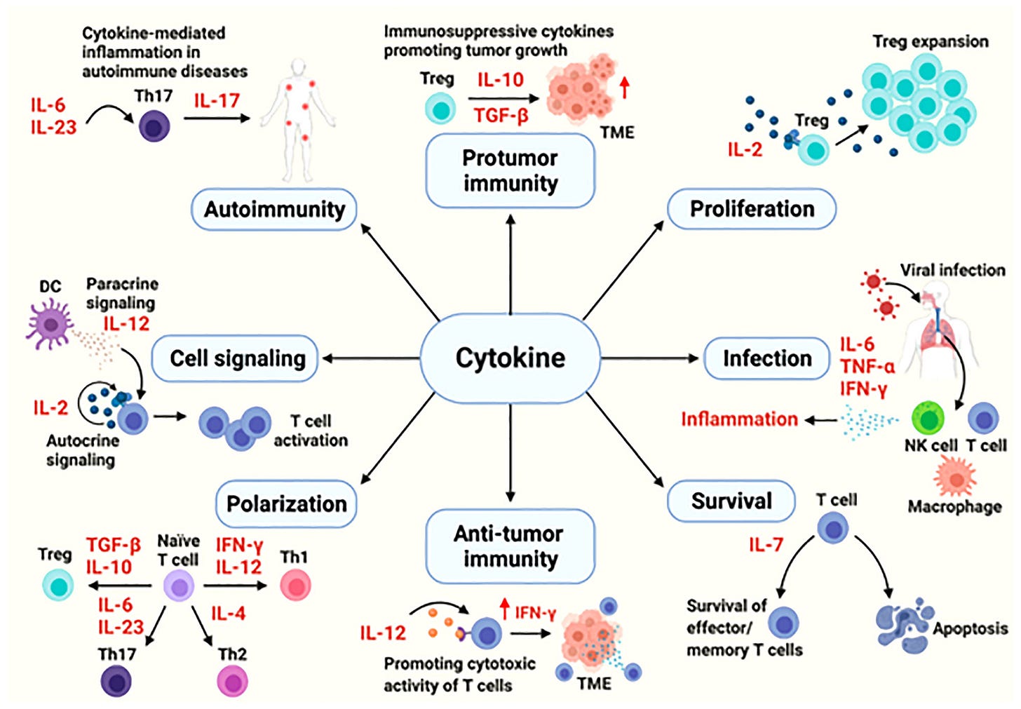 Frontiers | Serum cytokine levels for predicting immune-related adverse ...