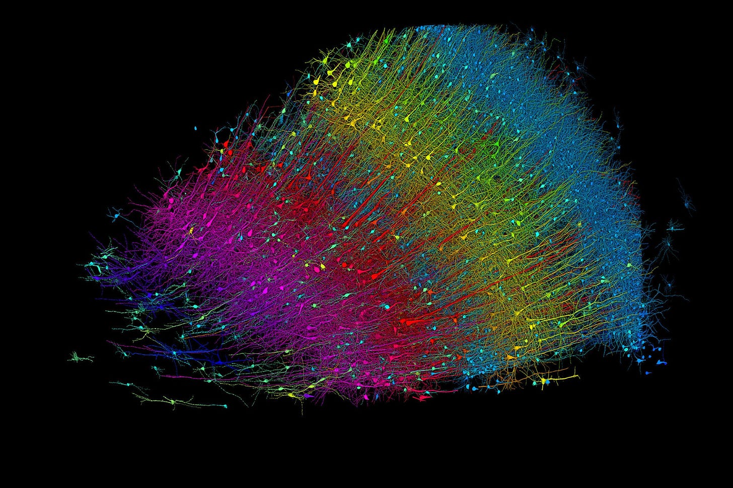 Harvard-Google Collaboration 3D Reconstructed a Cubic Milimeter of Human Brain with AI