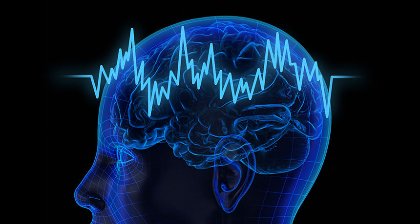 Brain waves may focus attention and keep information flowing