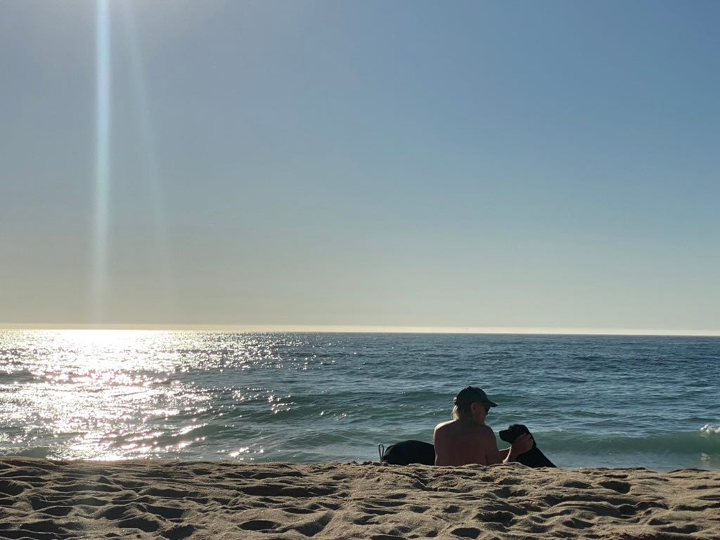 A man and two hounds on a beach at the ocean