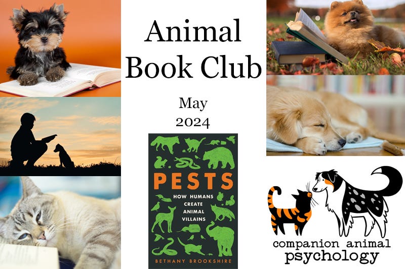 The flyer for the book club and the cover of the book Pests