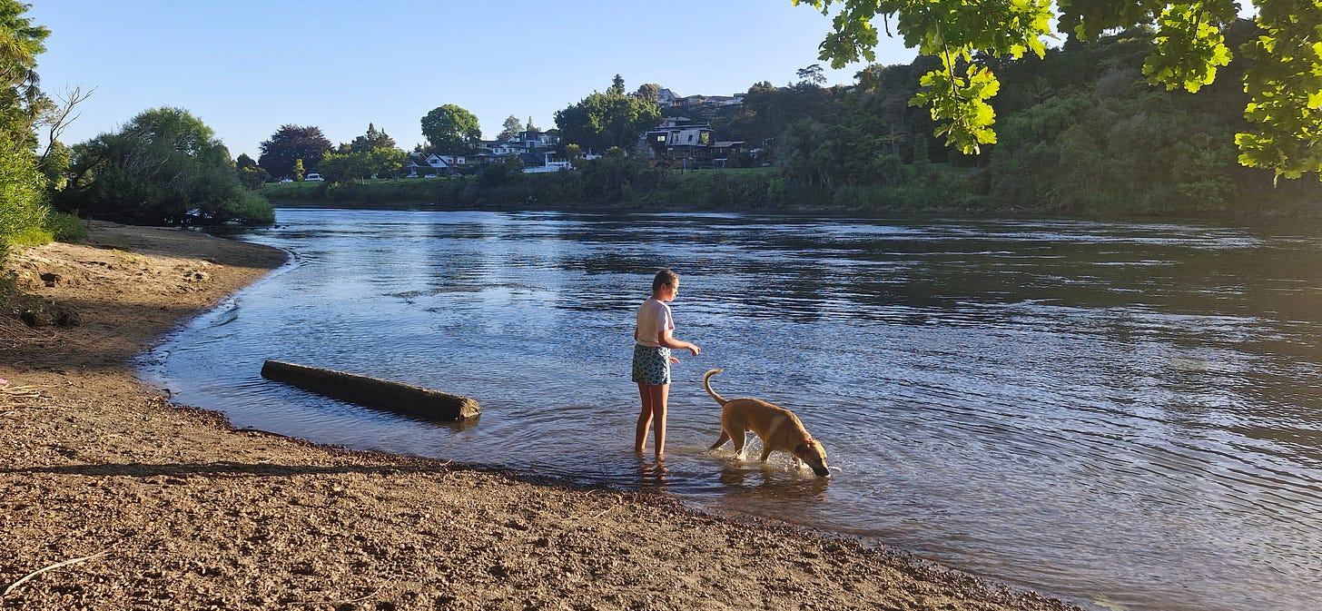 photo of a river with a sandy bank, a child and a dog are playing in the shallows, the shadows are lengthening and the sunlight softening indicating the end of the day