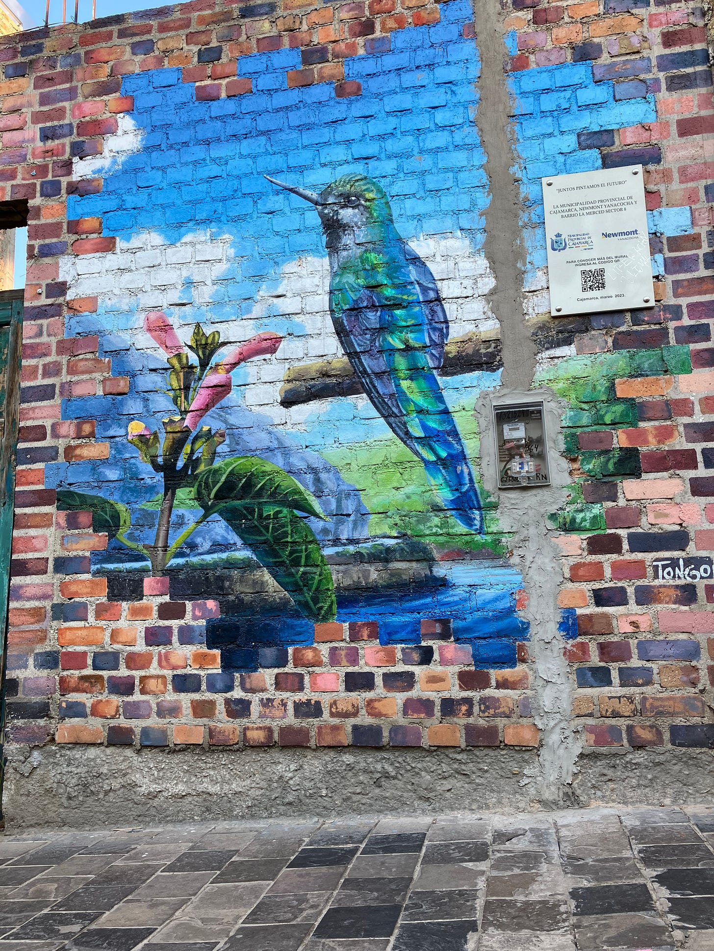 Complex Feeling by Tim Schaefer / Blackjack Buck