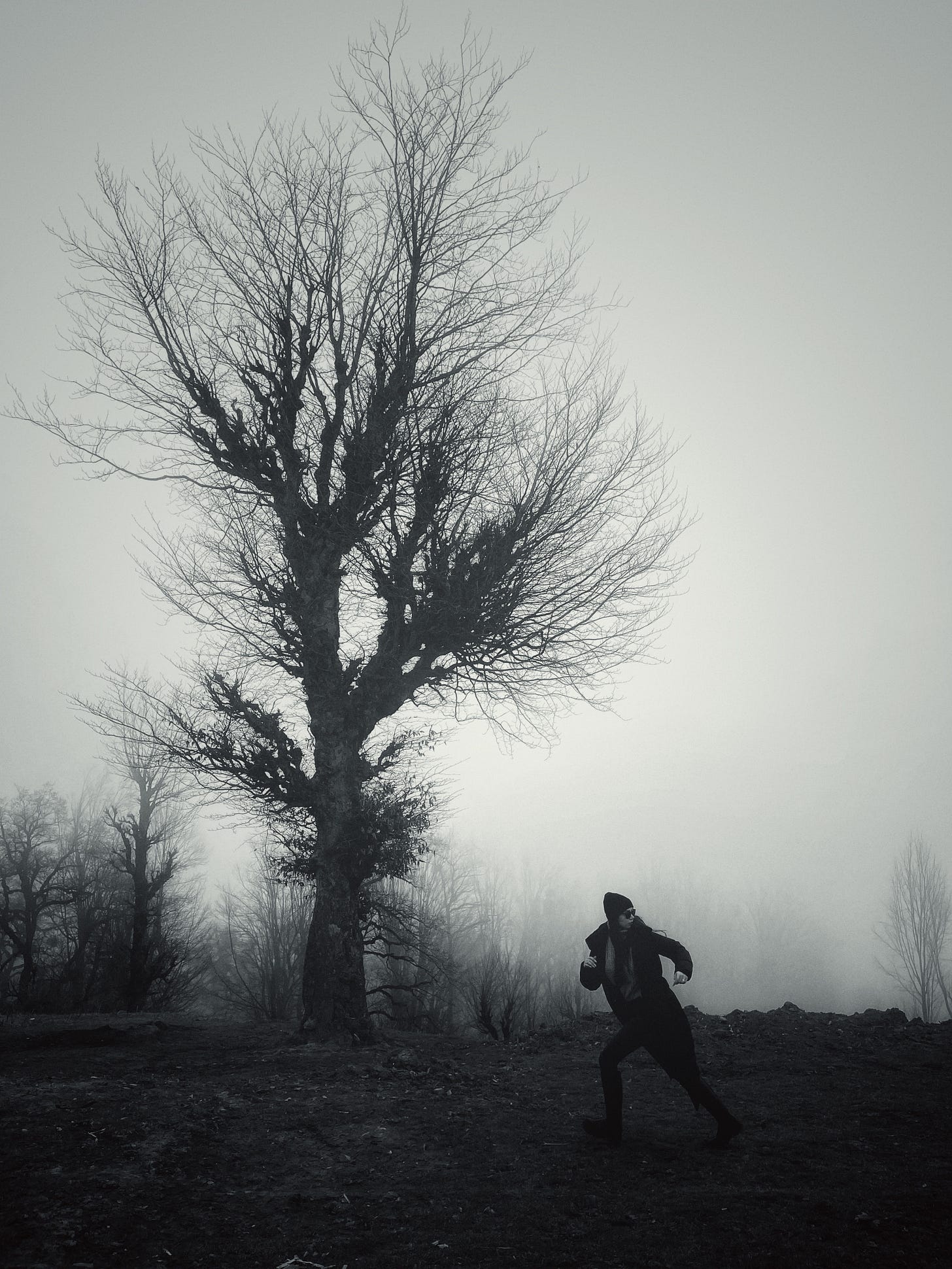 Black and White Photo of a Woman Running Next to a Spooky Tree · Free Stock  Photo