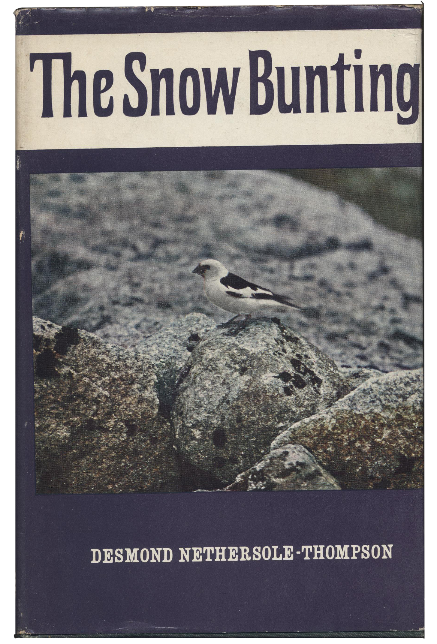 Snow Bunting (Nethersole-Thompson) cover