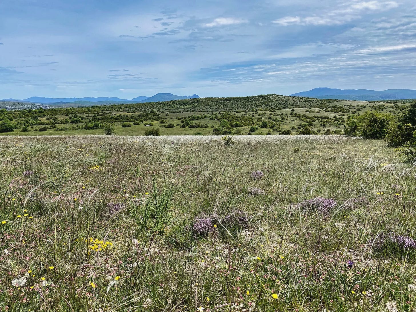 Le Larzac en fleur Le Larzac en fleur