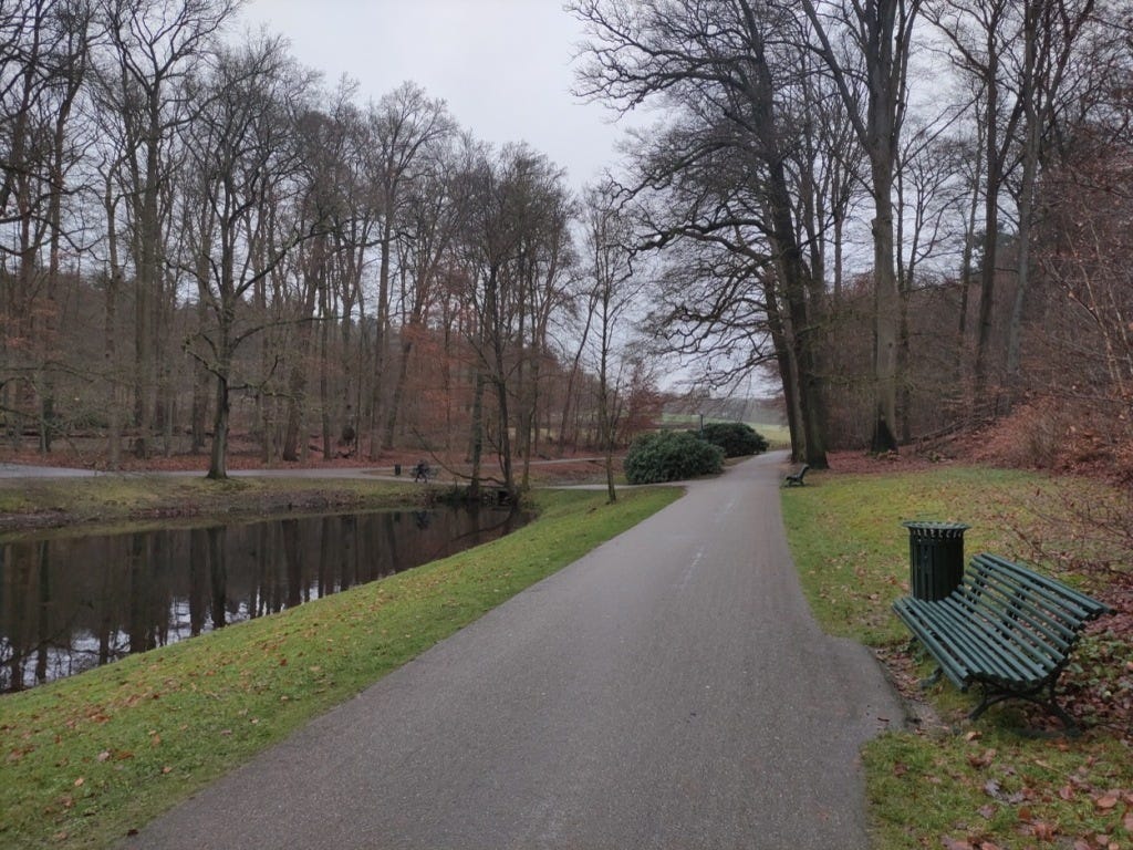 A pool of water with paths on both sides. The course loops round most of the paths in this picture, almost popping out of the tree-lined area before turning round to come back along the nearer side of the water.