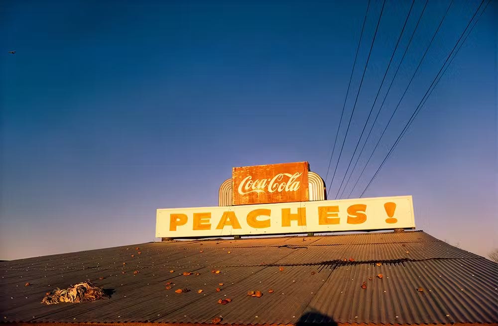 William Eggleston - Artworks & Biography | David Zwirner