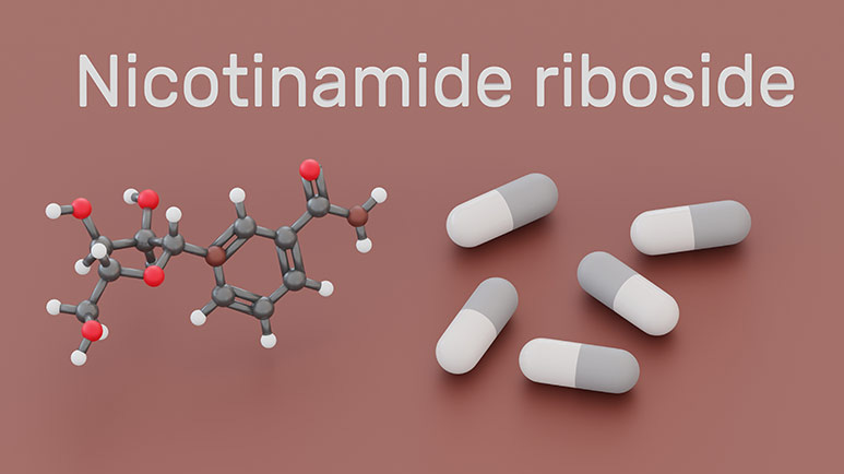 nicotinamide riboside brain health
