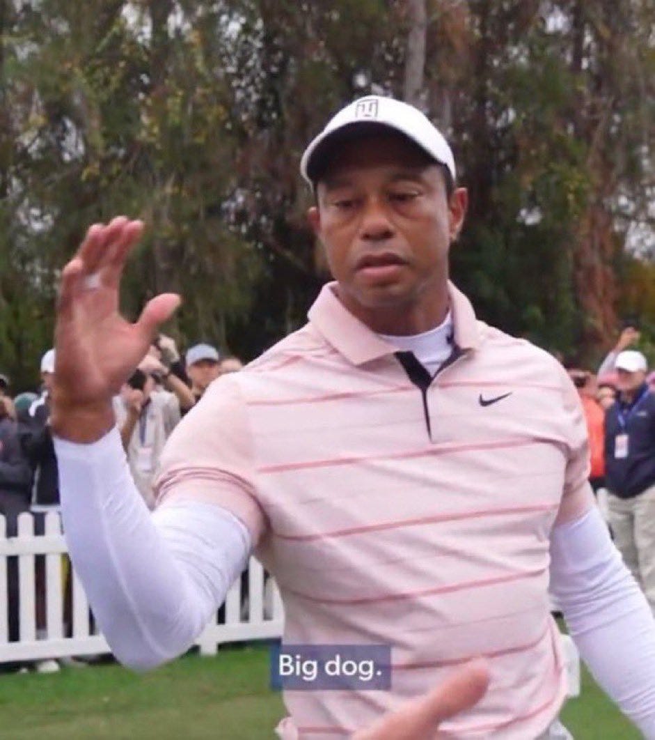 Aaron on X: "Tiger Woods when he wants to shake hands with somebody who has  a large puppy https://t.co/cAJvsSJPik" / X