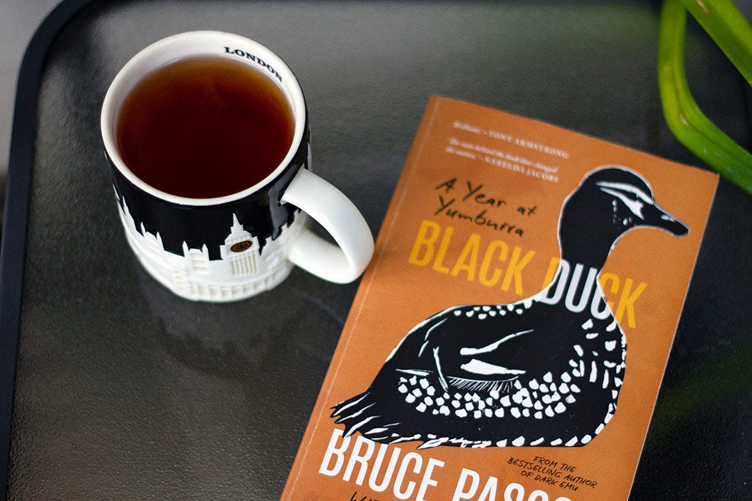 A copy of Bruce Pascoe’s ‘Black Duck’ sits on a glass table next to a cup of tea.