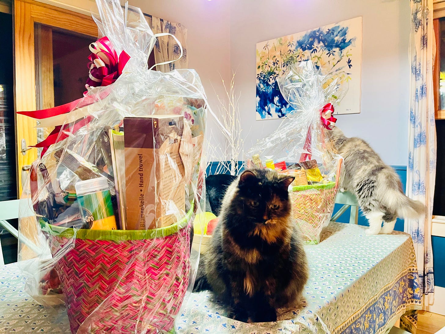 cats on table with giant gift baskets