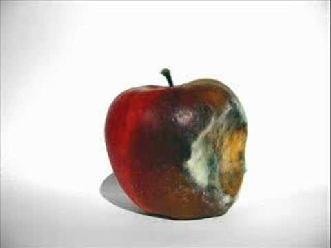 Rotting Apple (Mould) - YouTube