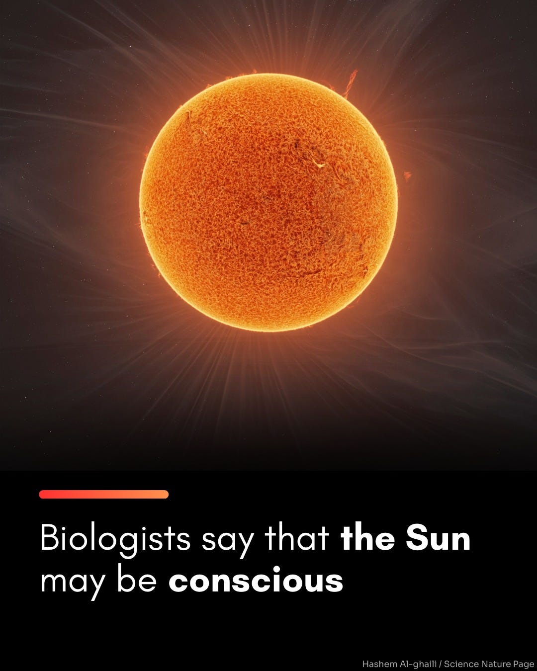 Ist möglicherweise ein Bild von Finsternis und Text „Biologists say that the Sun may be conscious NaturePagr“