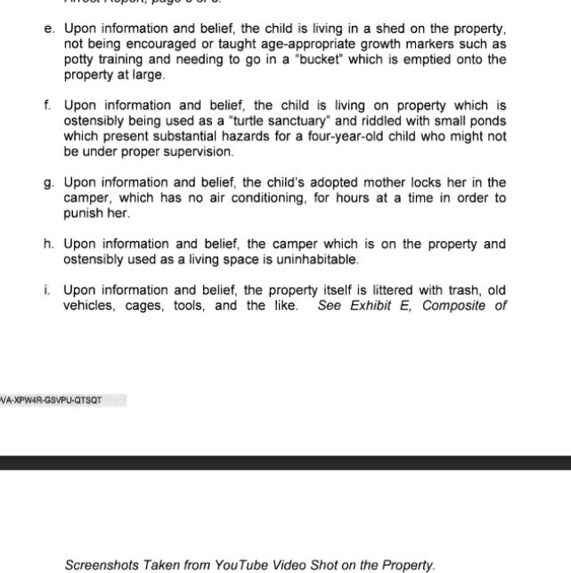 YouTuber Jeremy Hales linked to bogus custody petition filed by Miami lawyer Jenny Consuegra. The case was quickly dismissed as baseless.