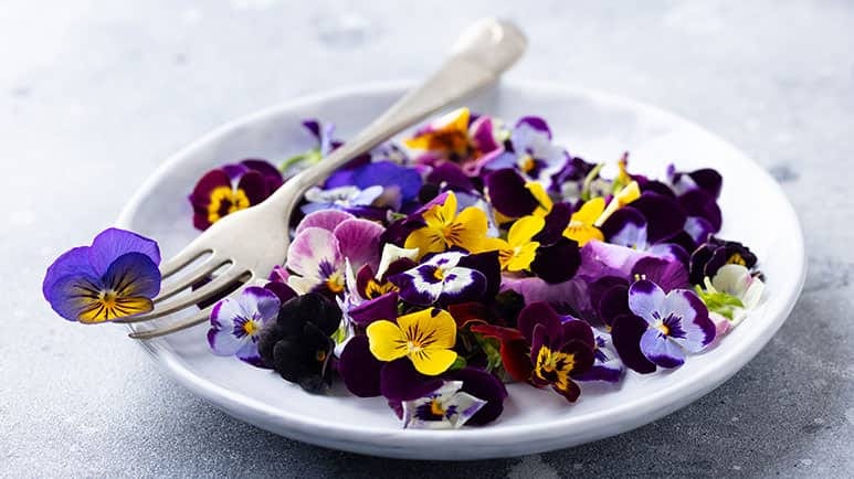 health benefits of edible flowers