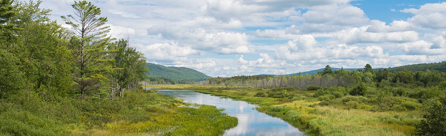 A swamp with forest on either side and bucolic clouds and blue sky