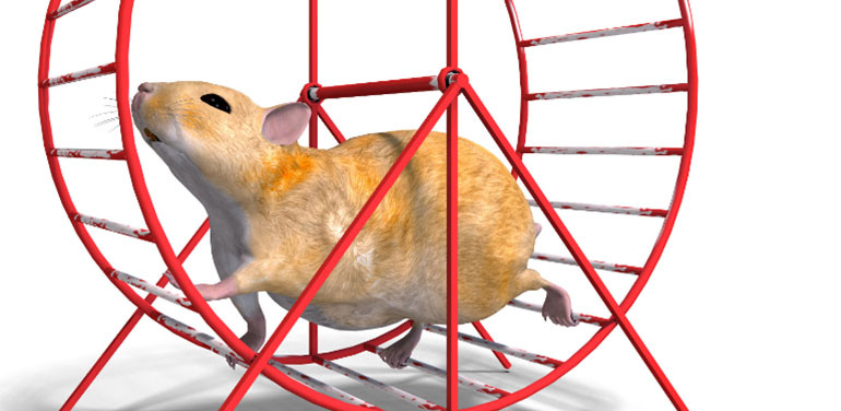 Finding Meaning on the Hamster Wheel? How is That Working for You? - PBA