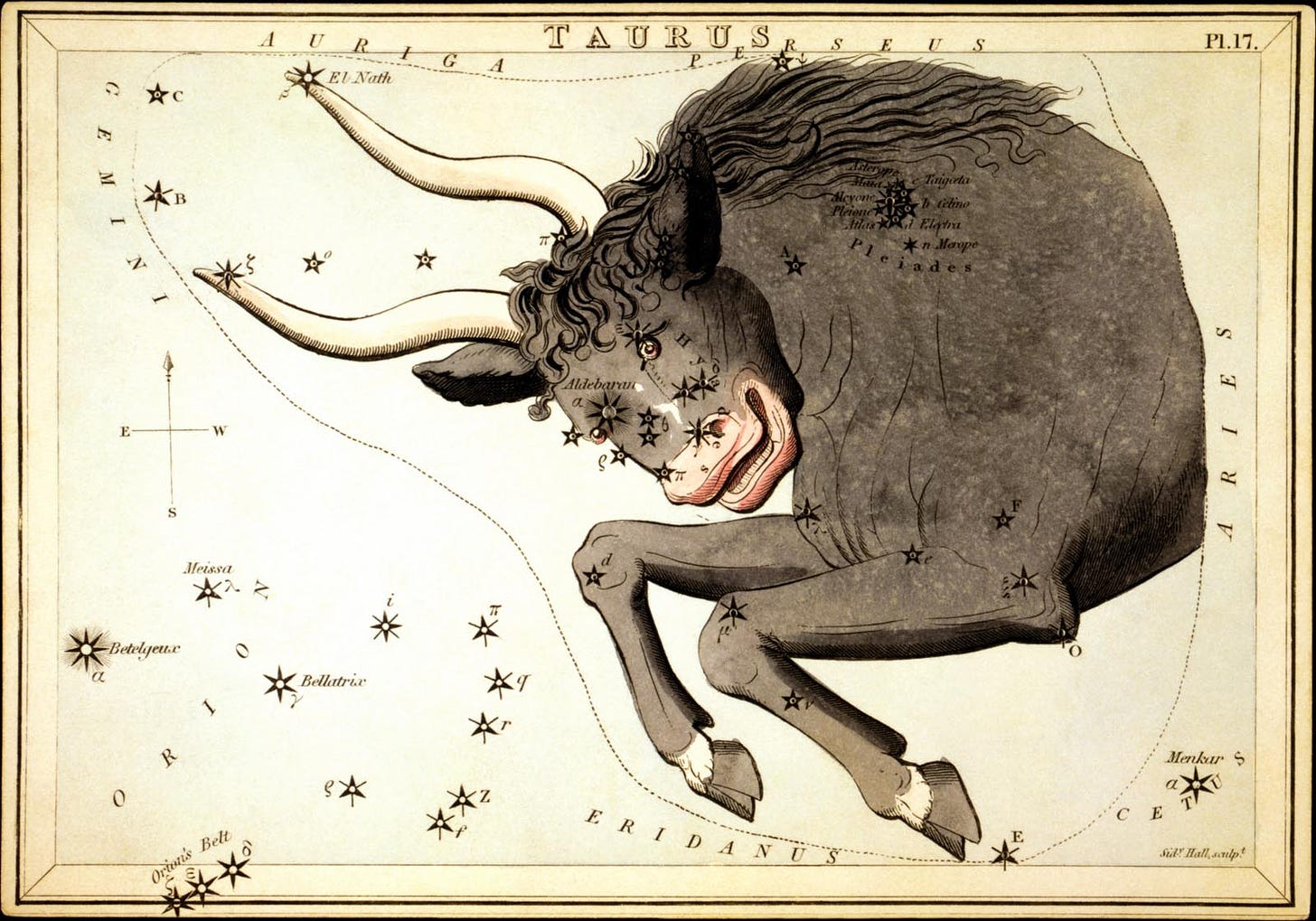 Meet Taurus the Bull in the evening sky