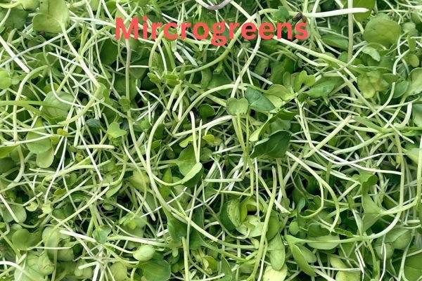 Microgreens