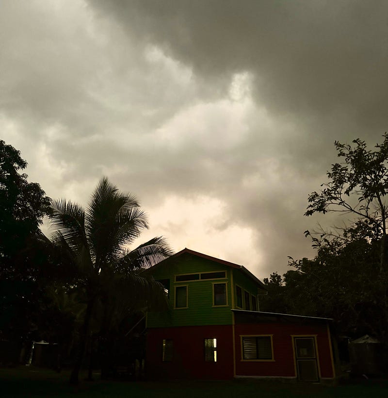Photo of formerly ant-infested lodging taken by author