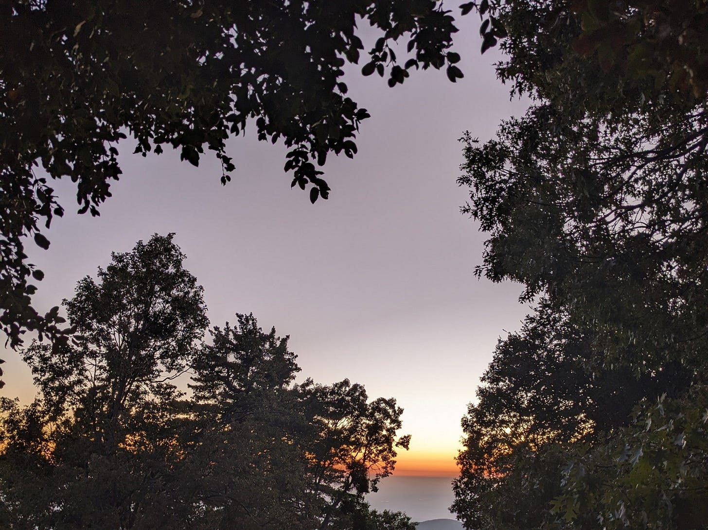 Photograph of an orange sunset peeking through trees.