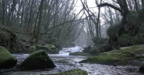 Ghost caught on camera in daylight on a Scottish river.