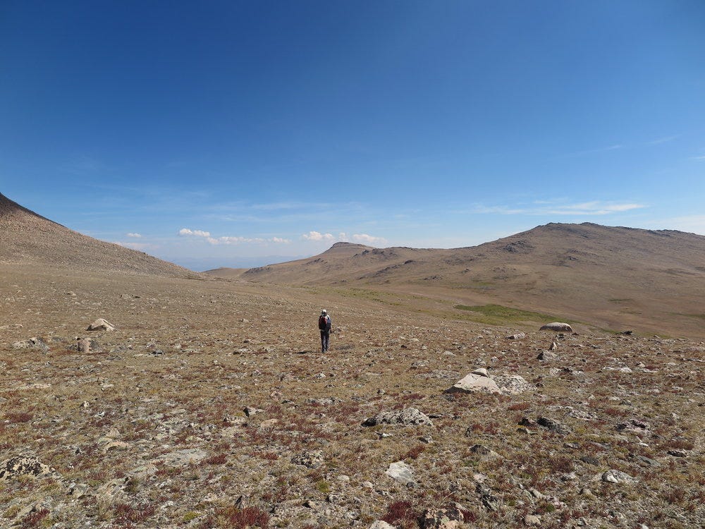 Walking towards the Goat Flats saddle to meet up with an actual trail. 