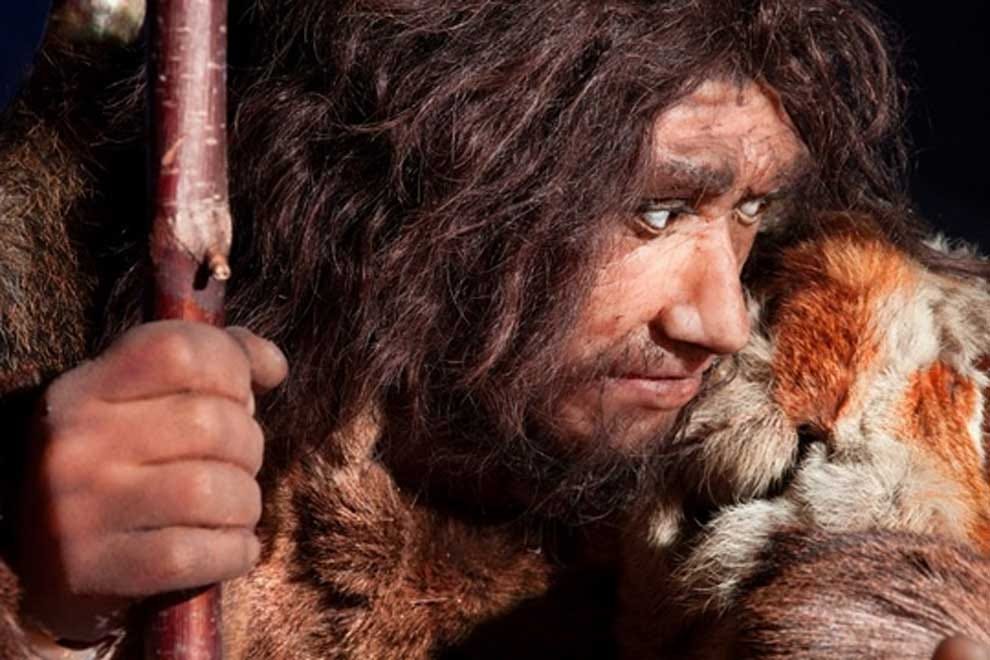 Neanderthal stereotyped (Fotolia) Neanderthal stereotyped (Fotolia)