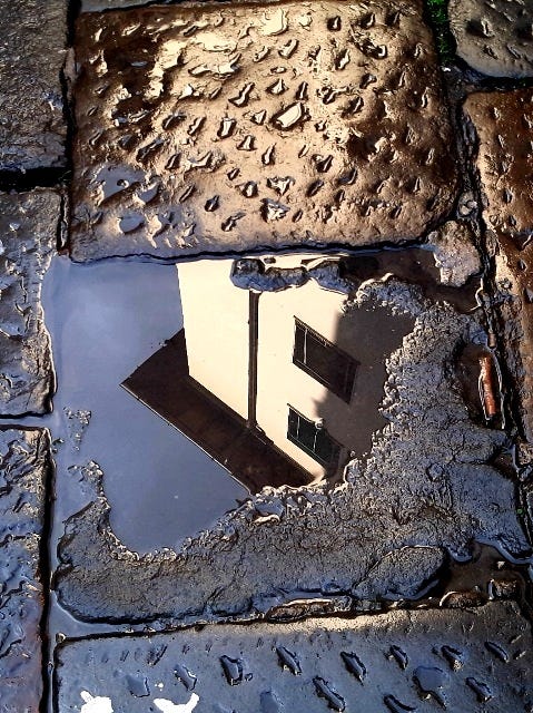Florence reflected in a puddle