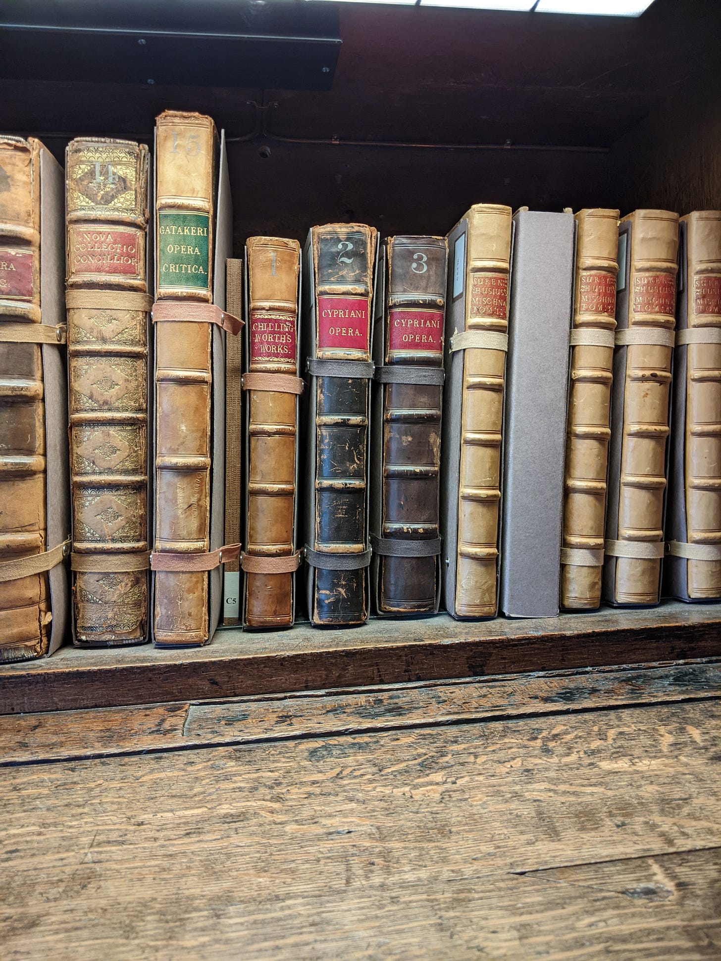 Shelf of old books