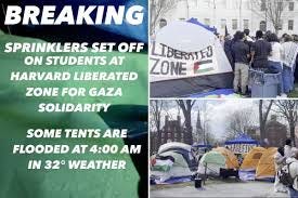 Harvard's anti-Israel protest camp ...