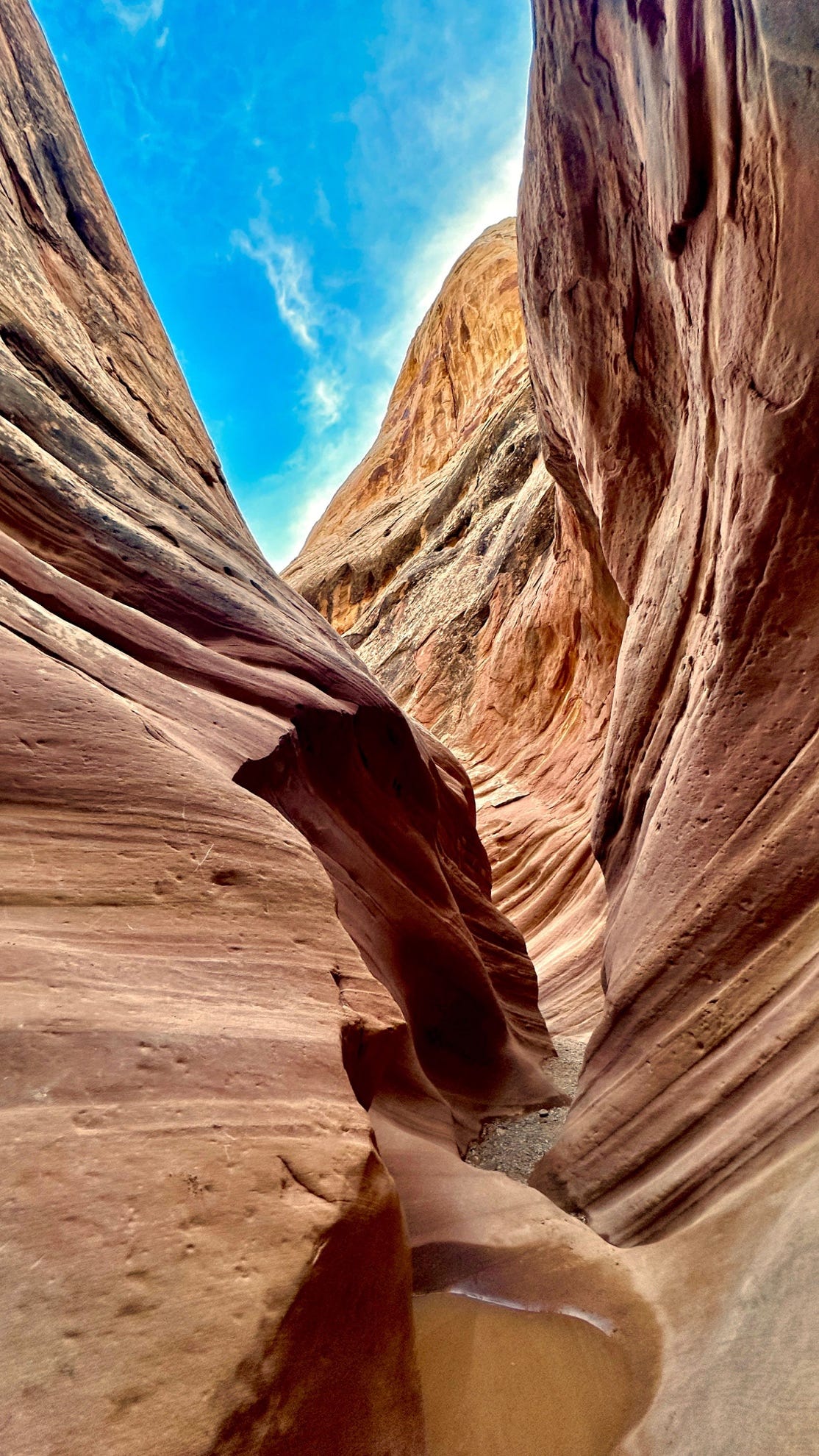 A close-up of a canyon

Description automatically generated
