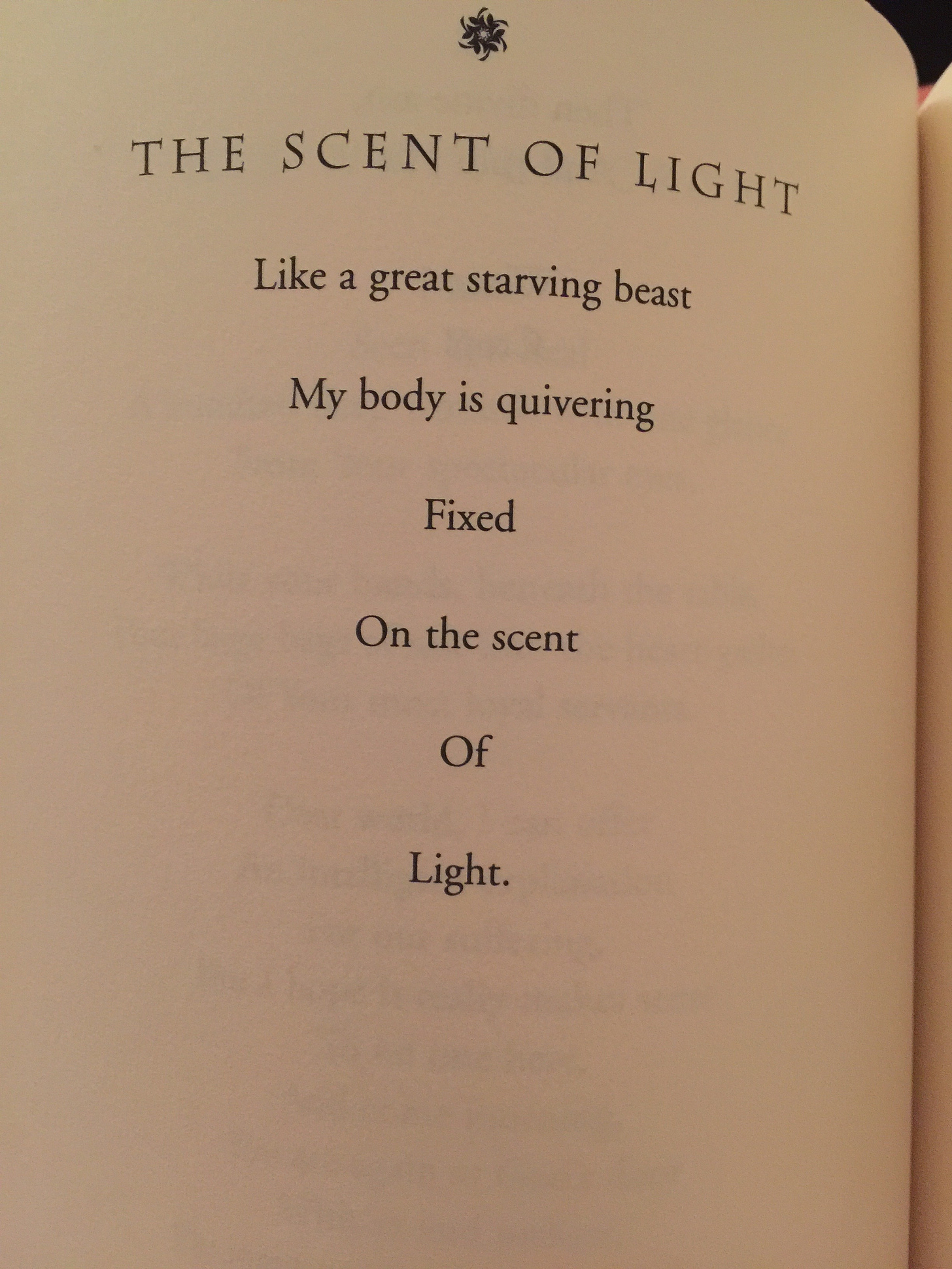 image from a book of poetry by Hafiz reads: THE SCENT OF LIGHT, Like a great starving beast My body is quivering Fixed On the scent Of Light