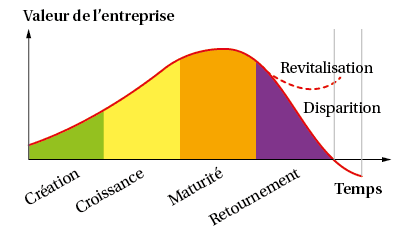 La vie d'une entreprise et les étapes de son développement - digiSchool