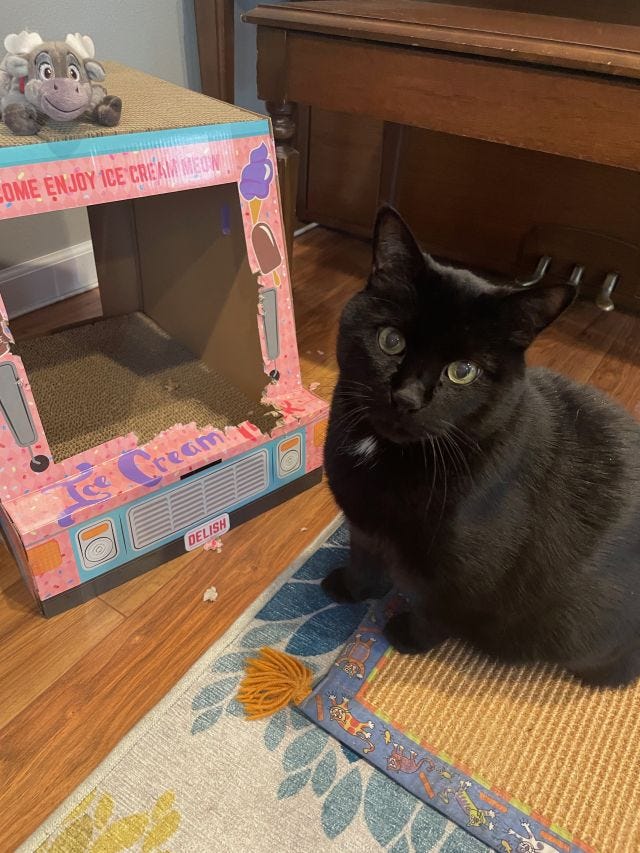 Black cat in front of a partially-eaten, ice-cream truck-shaped cardboard scratcher