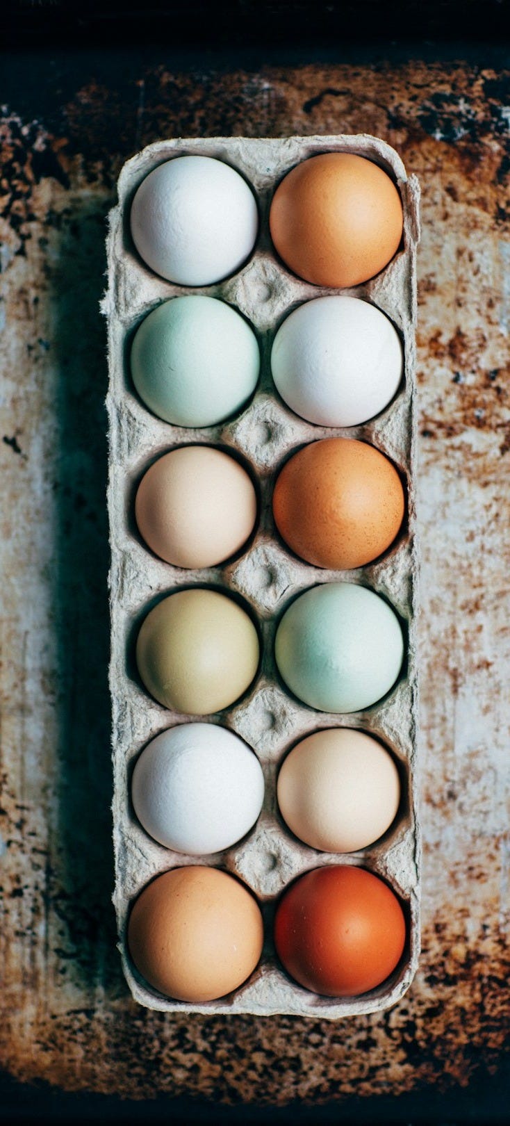 dozen eggs on tray