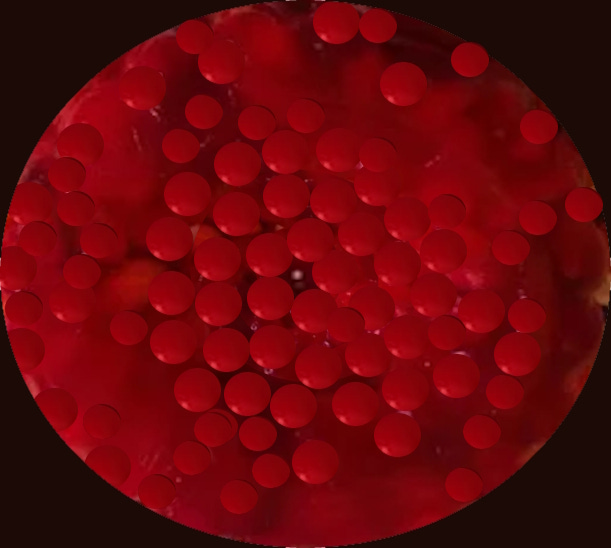 our cosmos is like a gigantic torus-shaped bowl of cherry jello our cosmos is like a gigantic torus-shaped bowl of cherry jello