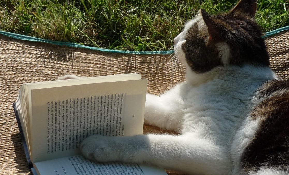 A white and brown cat lies on a mat in the grass on a sunny day with one paw on the page of an open hardcover book. Its eyes are closed, as if it's reflecting on what it has been reading. 