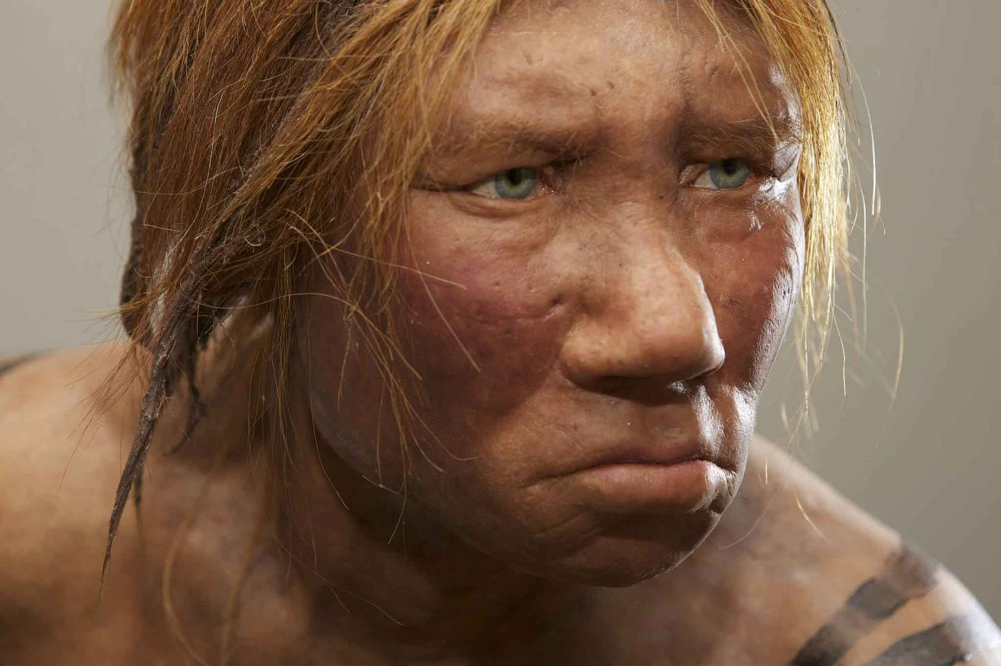 A Neandertal woman with red hair and blue eyes A Neandertal woman with red hair and blue eyes