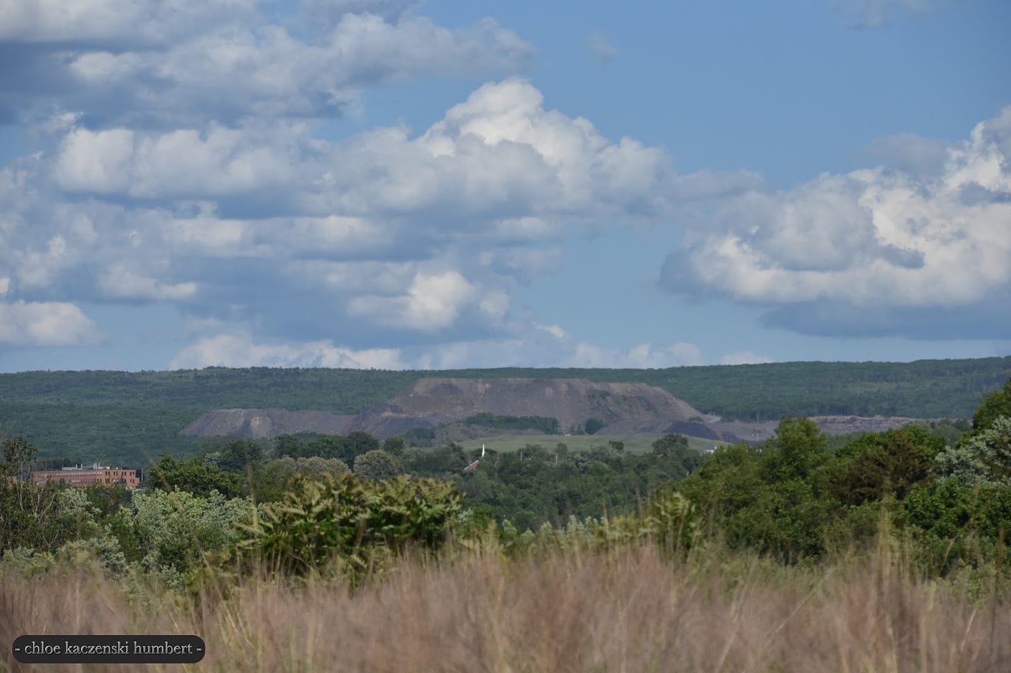 View of the Keystone Landfill garbage dump mountain in Dunmore seen from across the Lackawanna River valley to the west in a field off the Leggetts Creek Greenway Trail in the Marvine neighborhood of north Scranton Pennsylvania. Photo by Chloe Kaczenski Humbert. June 9, 2017. Alt image text: It’s a bright day with low puffy cumulous clouds in the sky. The dump is seen as a bare earth set of hills set against the tree covered mountains behind it, and trees and tall grass is in the foreground, with the steeple peaking up from the valley among the trees from the church on University Drive in Dunmore, and the Dawson Building at Penn State Scranton Campus in Dunmore Pennsylvania, on the left. 