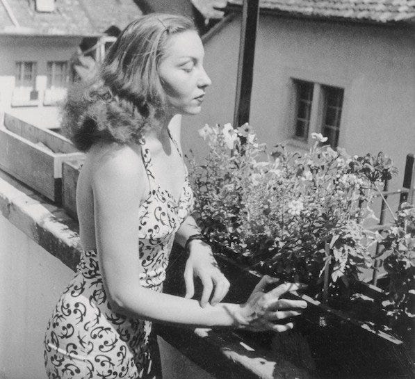 Beyond the Fig Tree: Embracing Clarice Lispector's Abyss in the Age of  TikTok — OFF CHANCE