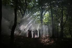 Witch In Forest Images – Browse 299,740 ...