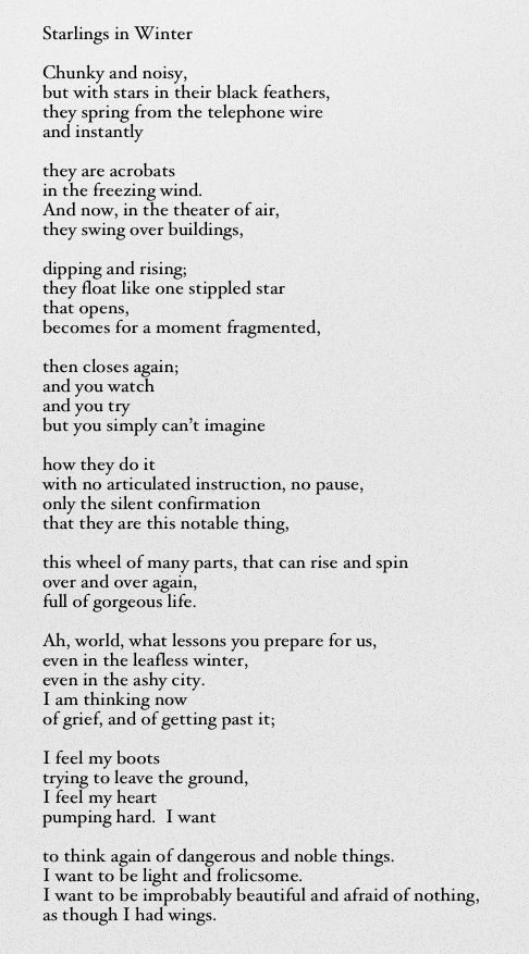 Pin by Eleanor Taylor on Words | Poetry words, Poems, Poem quotes