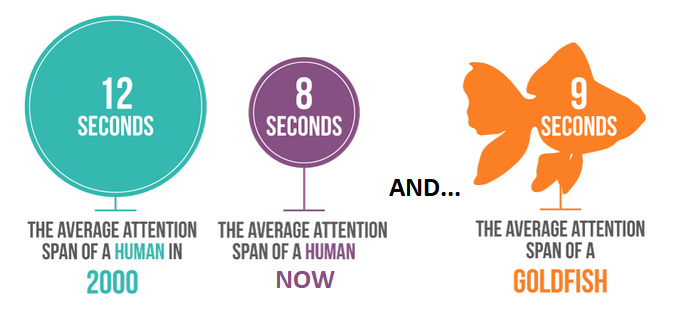 Average Human Attention Span (Statistics)