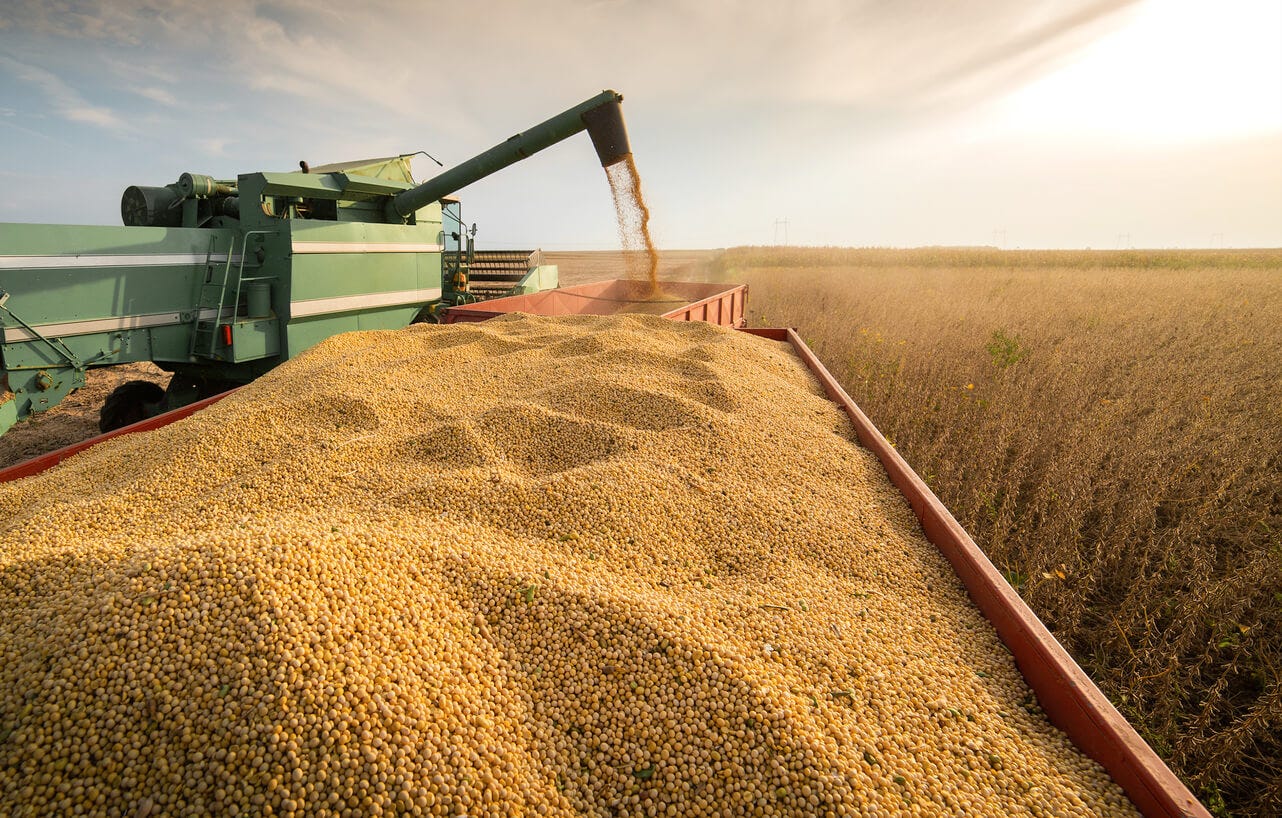 Commercial grain farming - Shell Farm of the Future